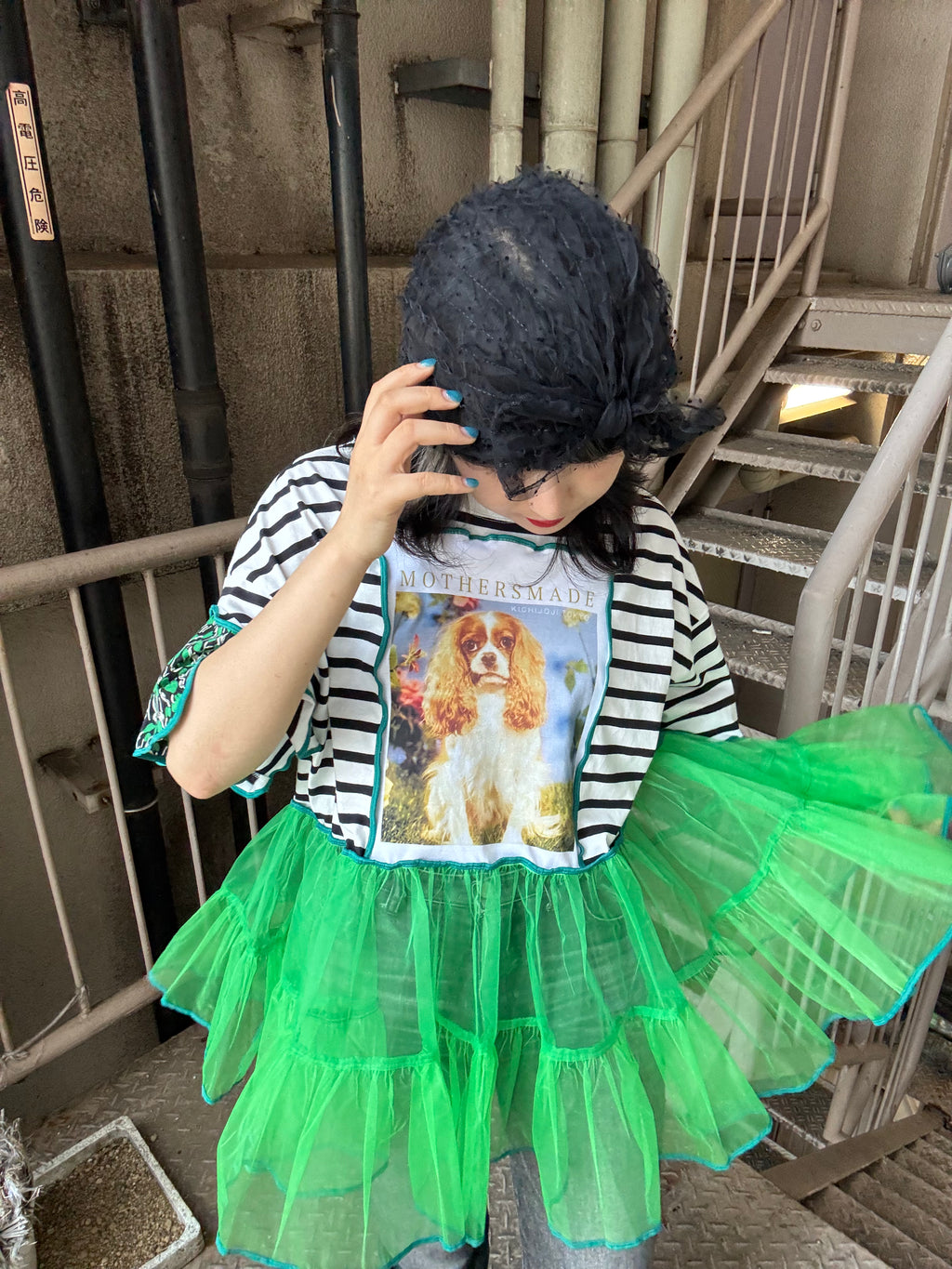 キャバリア犬半袖ボーダーTシャツ＆グリーンチュール